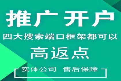 SEM推广案例：竞价代运营实战解析
